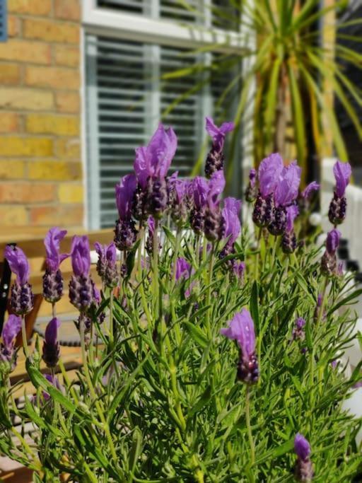 May Cottage - Heart Of Vibrant Village & 10 Mins Walk To Beach Milford on Sea Bagian luar foto